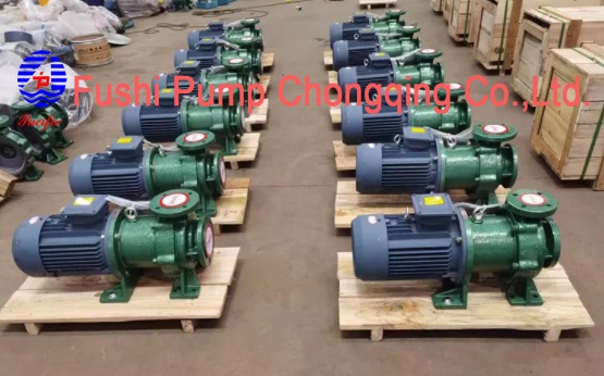 Fluorin Plastic Chemical Centrifugal Pump pict.jpg